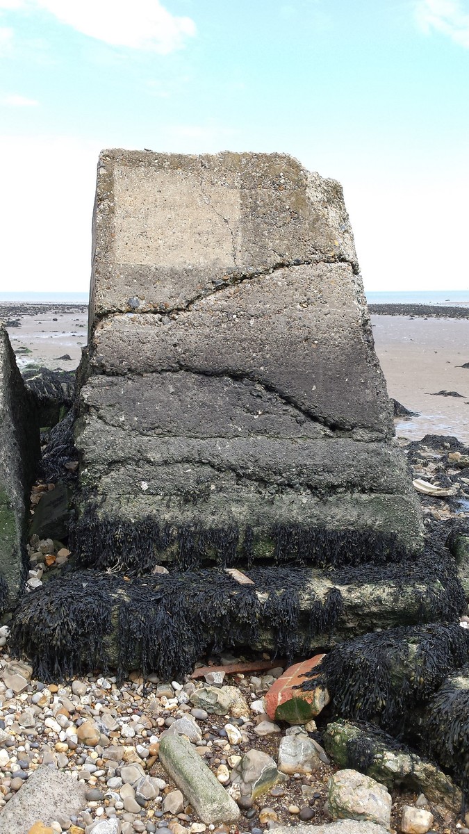 Remains of the Warden Point sound mirror