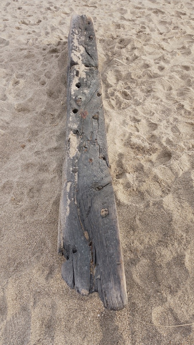 A fragment of shipwreck at Anderby Creek, Lincolnshire