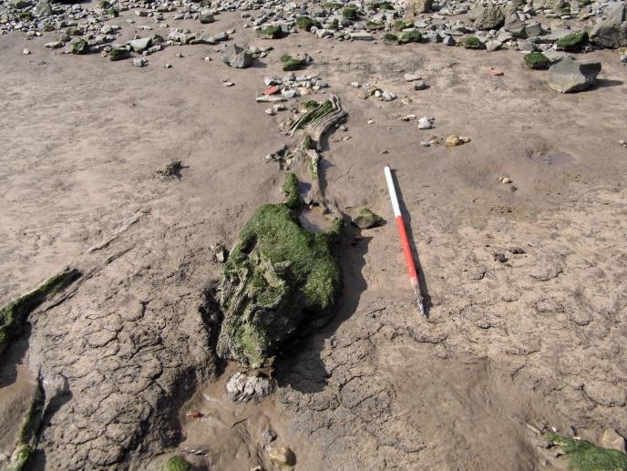 Evidence of a submerged landscape at North Ferriby