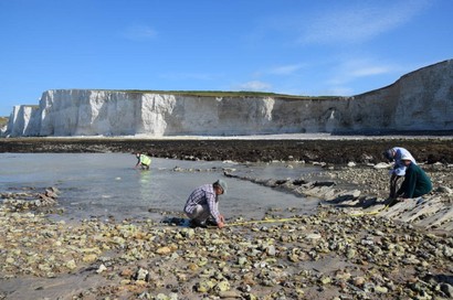 Volunteers recording the wreck of the Coonatto in May