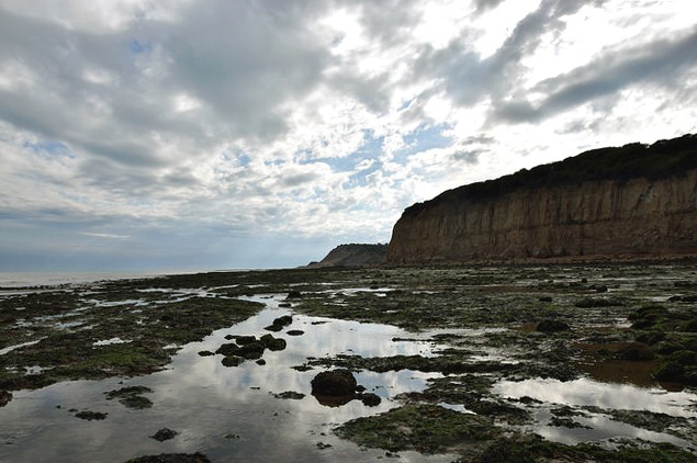 Pett Level August 2015