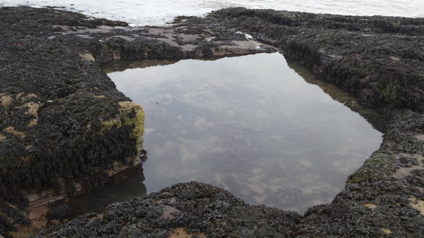 Howick rock cut bathing pool