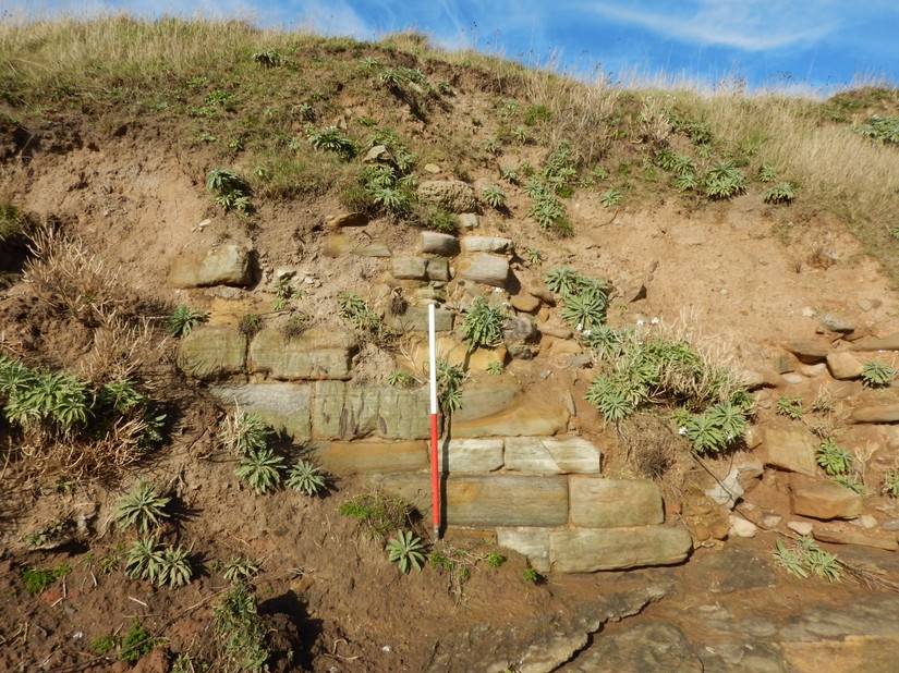 Eroding lime kiln in Dell Point at Beadnell