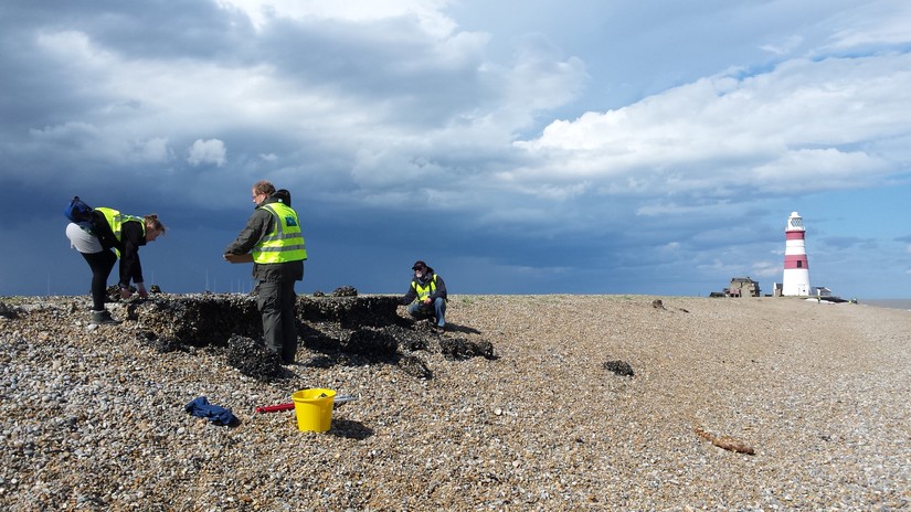CITiZAN volunteers recording the chequerboard target eroding out of the shingle shelf, Orford Ness, July 2016