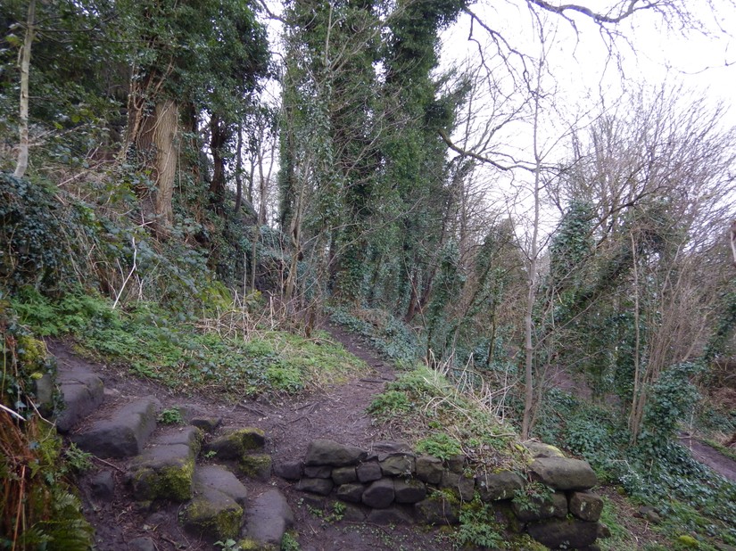 Rectory Woods at Heysham