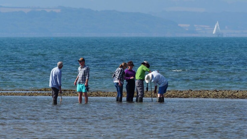 Staff and volunteers from the New Forest Park Authority and CITiZAN carrying out an auger survey in the intertidal zone at Calshot.