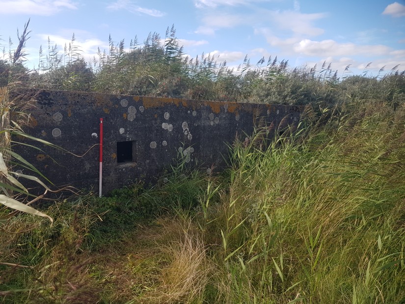"Lincolnshire Type" Pillbox on the Saltfleetby-Theddlethorpe Nature Reserve