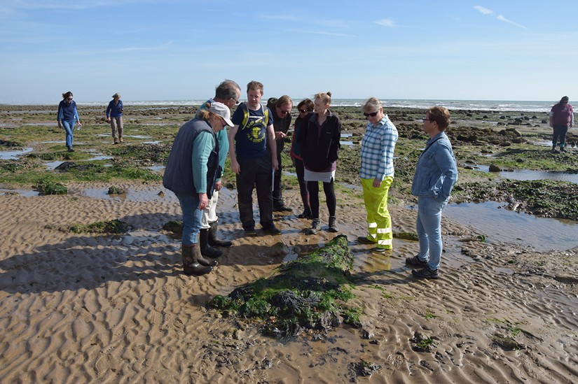 Dr Timpany and CITiZAN Southeast volunteers discuss sampling a fallen tree at Pett Level in September 2016