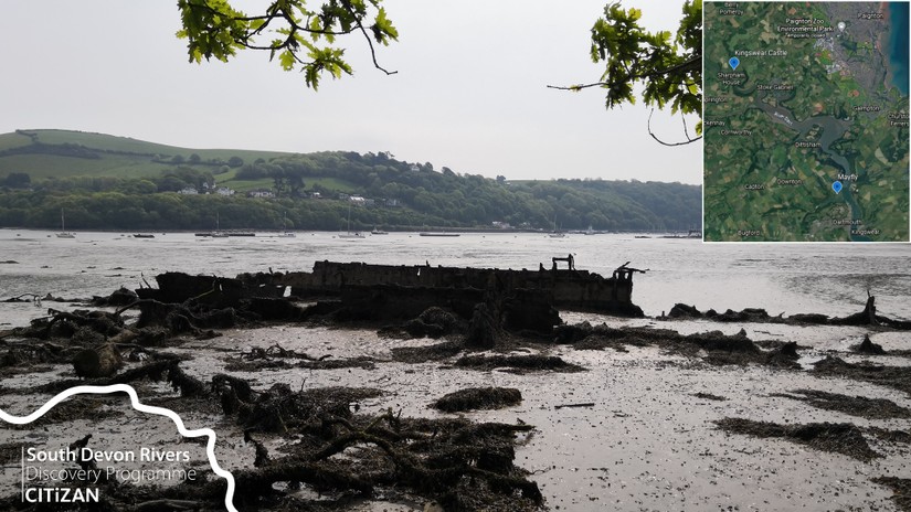 Potential remains of the mayfly (unknown steamer)