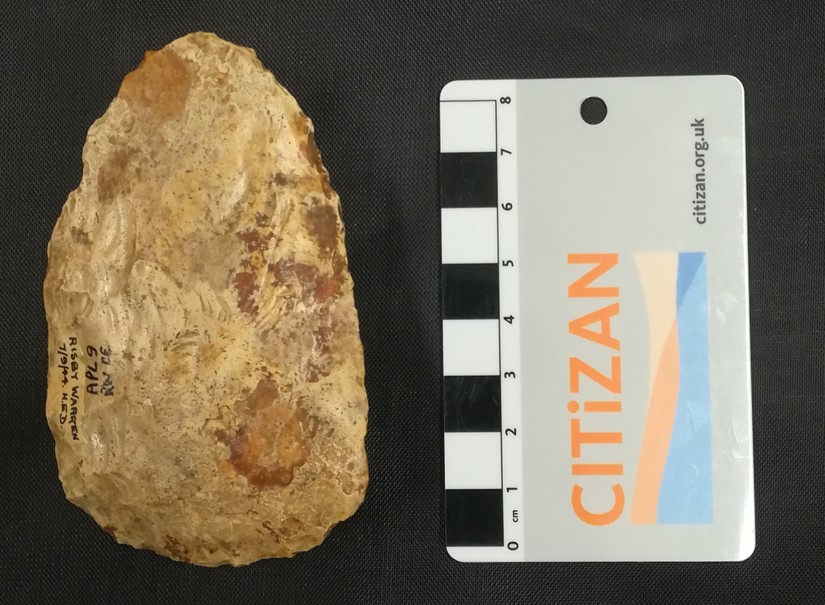 Risby Warren Bout Coupe handaxe, North Lincolnshire Museum collections, Scunthorpe