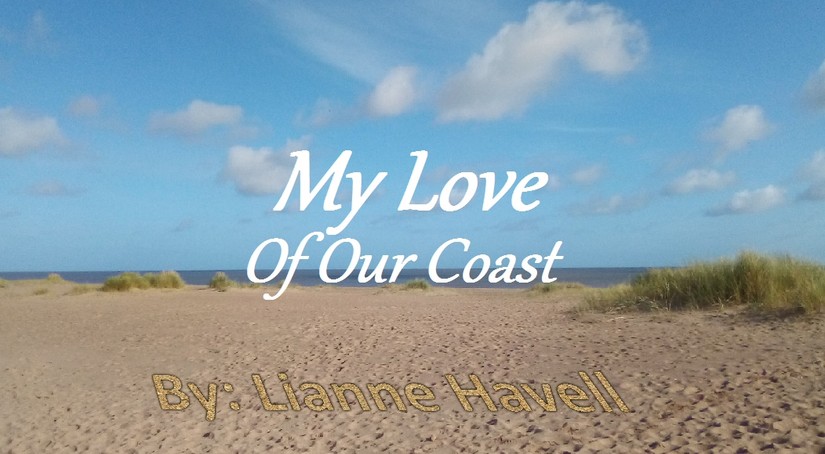 Love of the Coast, by Lianne Havell