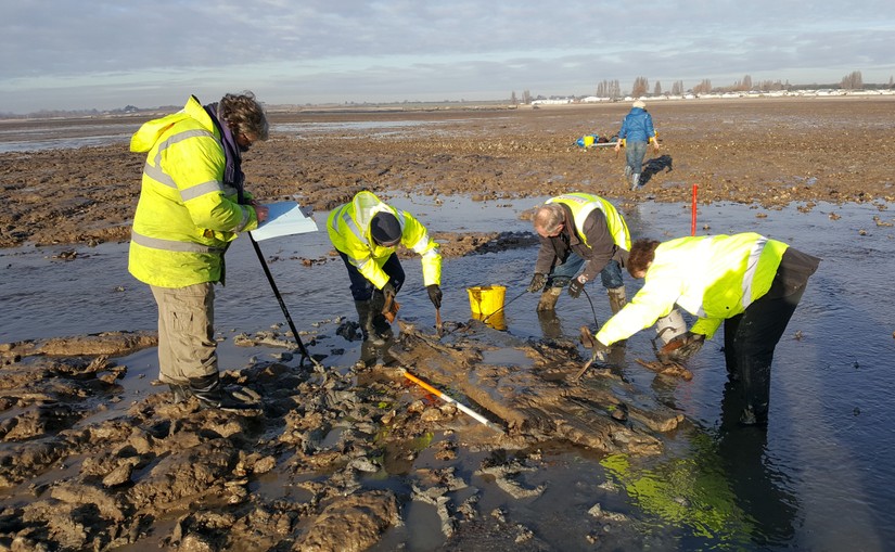 Community members cleaning trackway found on Mersea Island
