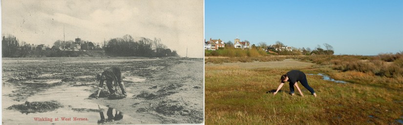 Monkey Beach, West Mersea in 1905 and today