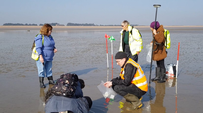 Sampling stakes at Sandwich Bay, March 2022